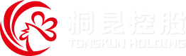 HJC黄金城集团股份有限公司